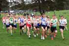 Senior Mens relay, 2025 Northern Cross Country Relays, Graves Park, Sheffield. Photo: David T. Hewitson/Sports for All Pics
